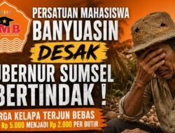 Persatuan Mahasiswa Banyuasin Desak Gubernur Sumsel Bertindak, Harga Kelapa Terjun Bebas dari Rp5.000 Menjadi Rp2.000 per Butir