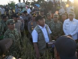 Dukung Program Ketahanan Pangan Nasional, Danrem 044/Gapo Hadiri Panen Raya TNI