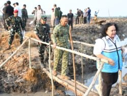 Ini Ungkapnya Danrem 044/Gapo, Usai Dampingi Irjen Kementan RI Tinjau Cetak Sawah Siap Tanam di OKI