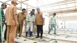 Program Sinar Bohlam Hadirkan Smart-Greenhouse Melon Pertama di Sumatera Selatan 