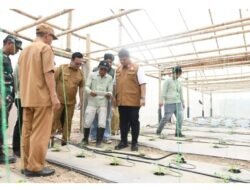 Program Sinar Bohlam Hadirkan Smart-Greenhouse Melon Pertama di Sumatera Selatan 