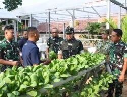 Danrem 044/Gapo Panen Hasil Urban Farming Gapo Farm, Wujud Nyata Ketahanan Pangan Berkelanjutan