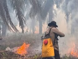Cegah Karhutla Meluas, Personel Ditsamapta Polda Sumsel Lakukan Pemadaman di OKI