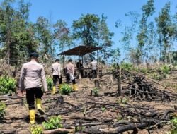 Cegah Karhutla, Personel Polda Sumsel Sisir Lahan Rawan di Muba
