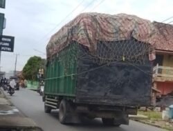 Truk Angkutan Buah Kelapa Sawit Diduga Milik PT Aburahmi Melintas di Jalan Desa Air Itam, Warga Setiap Hari Hirup Debu Tebal