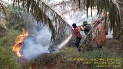 Polsek Rambutan Bersama Brimob dan BPBD Padamkan Karhutla di Desa Menten