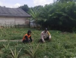Dukung Swasembada Pangan, Bhabinkamtibmas Polsek Tungkal Ilir Dorong Masyarakat Manfaatkan Pekarangan 