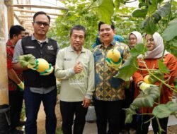 Sukses Di Panen Perdana, Electrifying Smart Green House Gunakan Teknologi Modern Pertama Di Sumsel