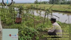 Dukung Ketahanan Pangan Nasional, Bhabinkamtibmas Polsek Muara Telang Aipda Ade Yasri, Ajak Warga Desa Telang Jaya Kec. Muara Telang Kembangkan Pekarangan Produktif