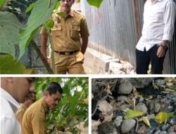 Camat SU2 Kota Palembang, Gerak Cepat Menyikapi Drainase Tersumbat Di Lorong Kolam Tangga Takat