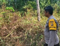 Tujuh Hotspot Terdeteksi di Wilayah Pulau Rimau, Polisi Lakukan Ground Check