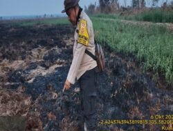 Ground Check Dua Hotspot di Muara Sugihan, Polisi Temukan Lahan Terbakar