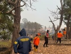 Tim Gabungan Padamkan Titik Api Karhutla di Desa Gasing, Banyuasin