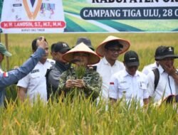 Panen Padi Inpari 49, Bukti Nyata Program Cetak Sawah Rakyat di OKU Timur